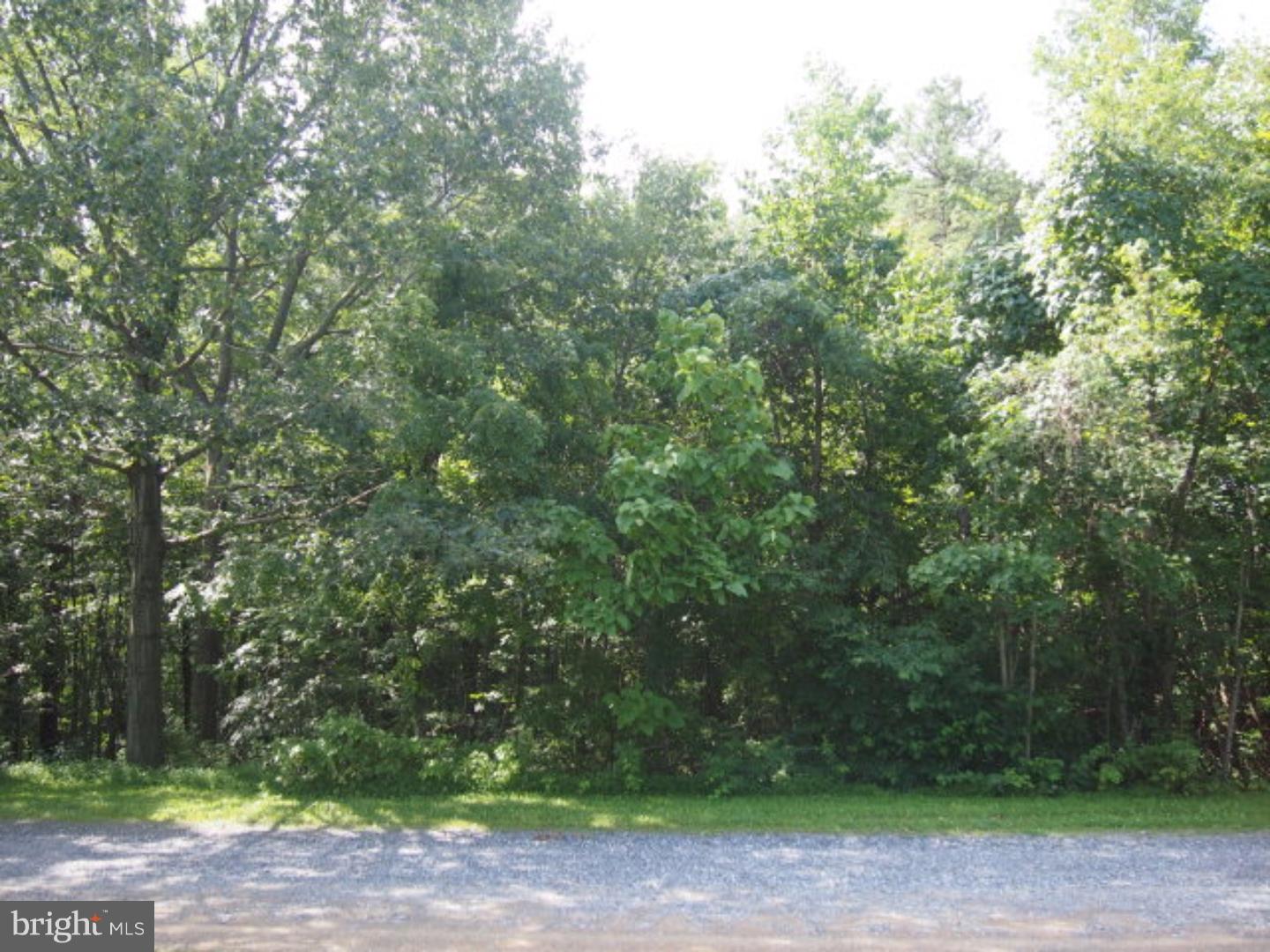 0 Moonshine Road Pine Grove, PA 17963 - Photo 7 of 8 Gallery Image 7