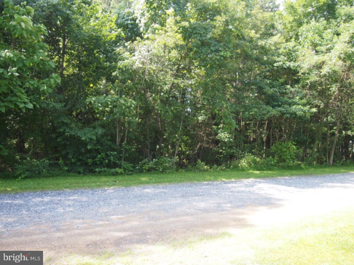 0 Moonshine Road Pine Grove, PA 17963 - Photo 8 of 8 Gallery Image 8