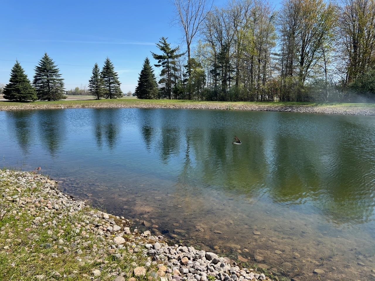 21403 Swan Creek Road Merrill, MI 48637 - Photo 24 of 68
