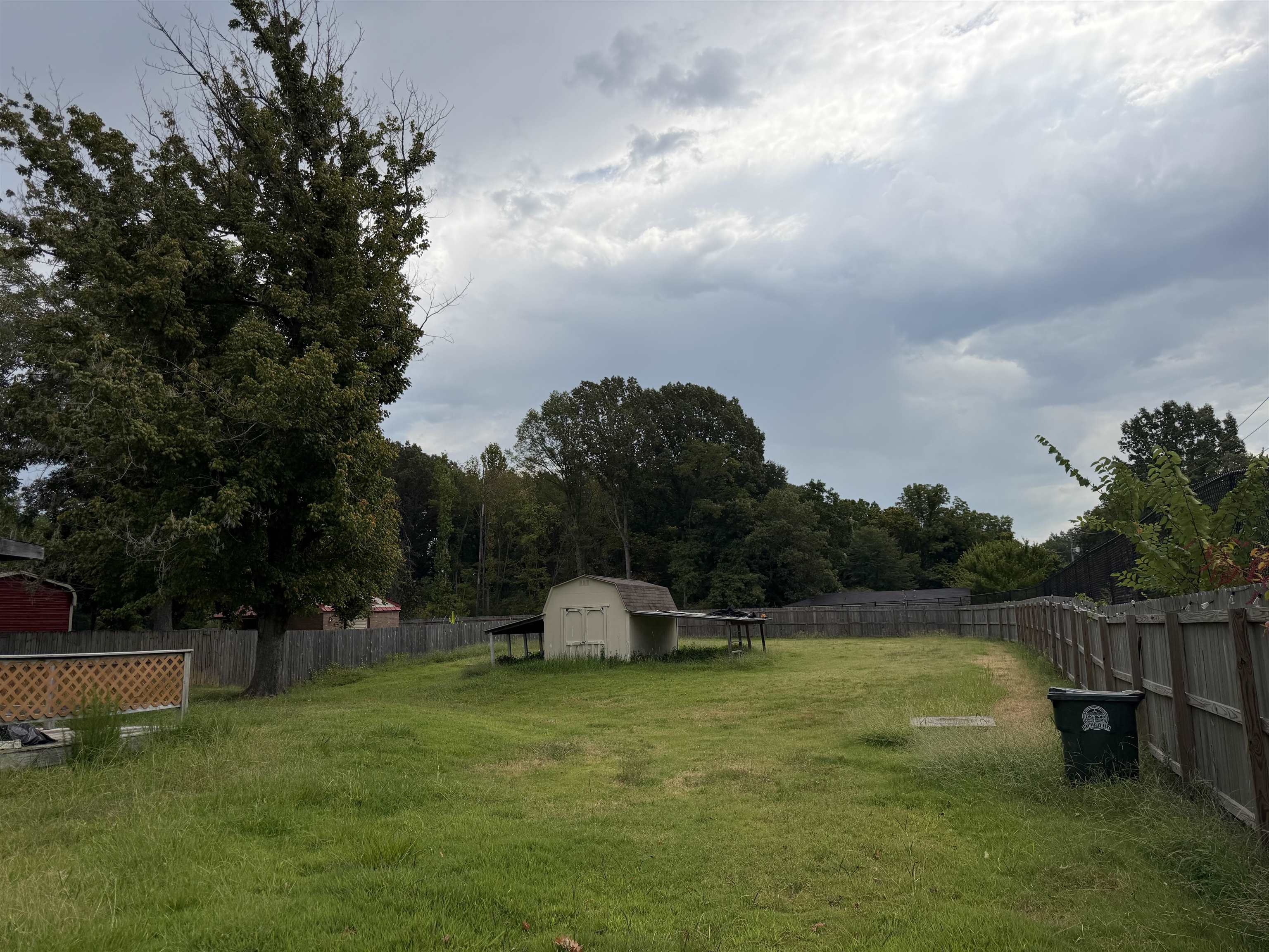 Expansive backyard space with perimeter fencing, mature trees, and a storage shed
