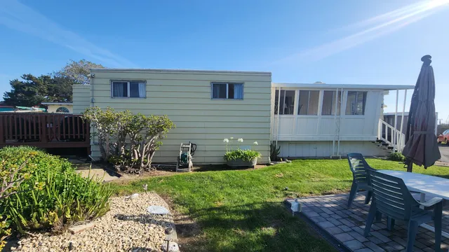 a view of a park with large trees