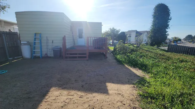 a view of a garden with a tree