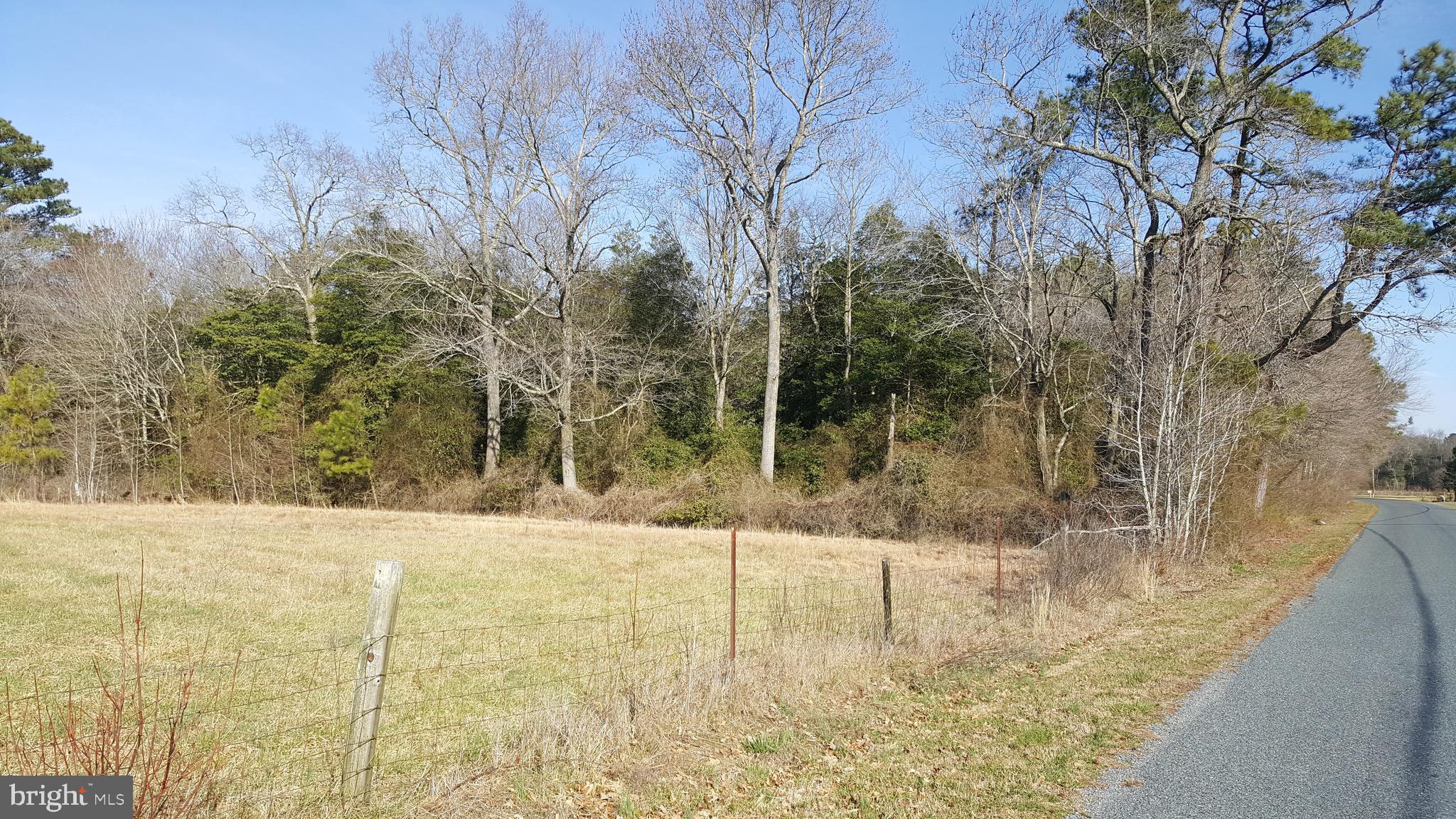 6088 Forest Grove Road Parsonsburg, MD 21849 - Photo 7 of 8 Old Pasture