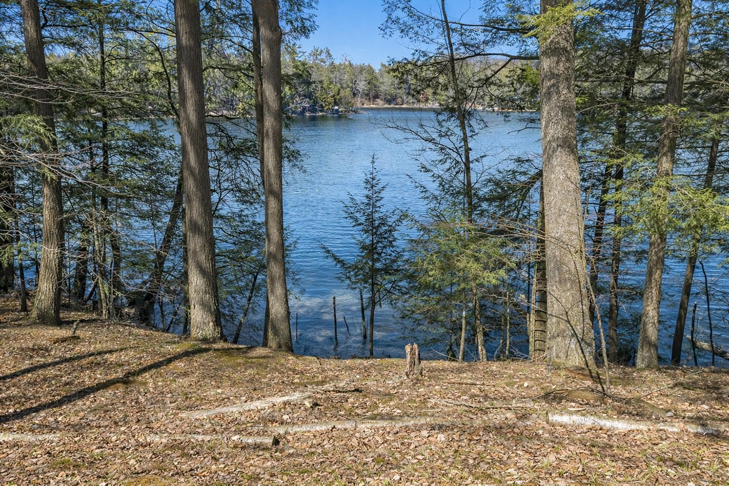 17235 Lit Archibald Road Townsend, WI 54175 - Photo 28 of 49