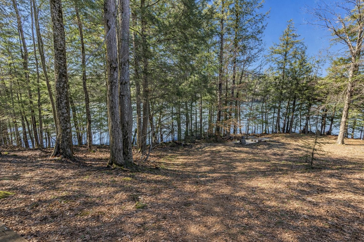 17235 Lit Archibald Road Townsend, WI 54175 - Photo 33 of 49