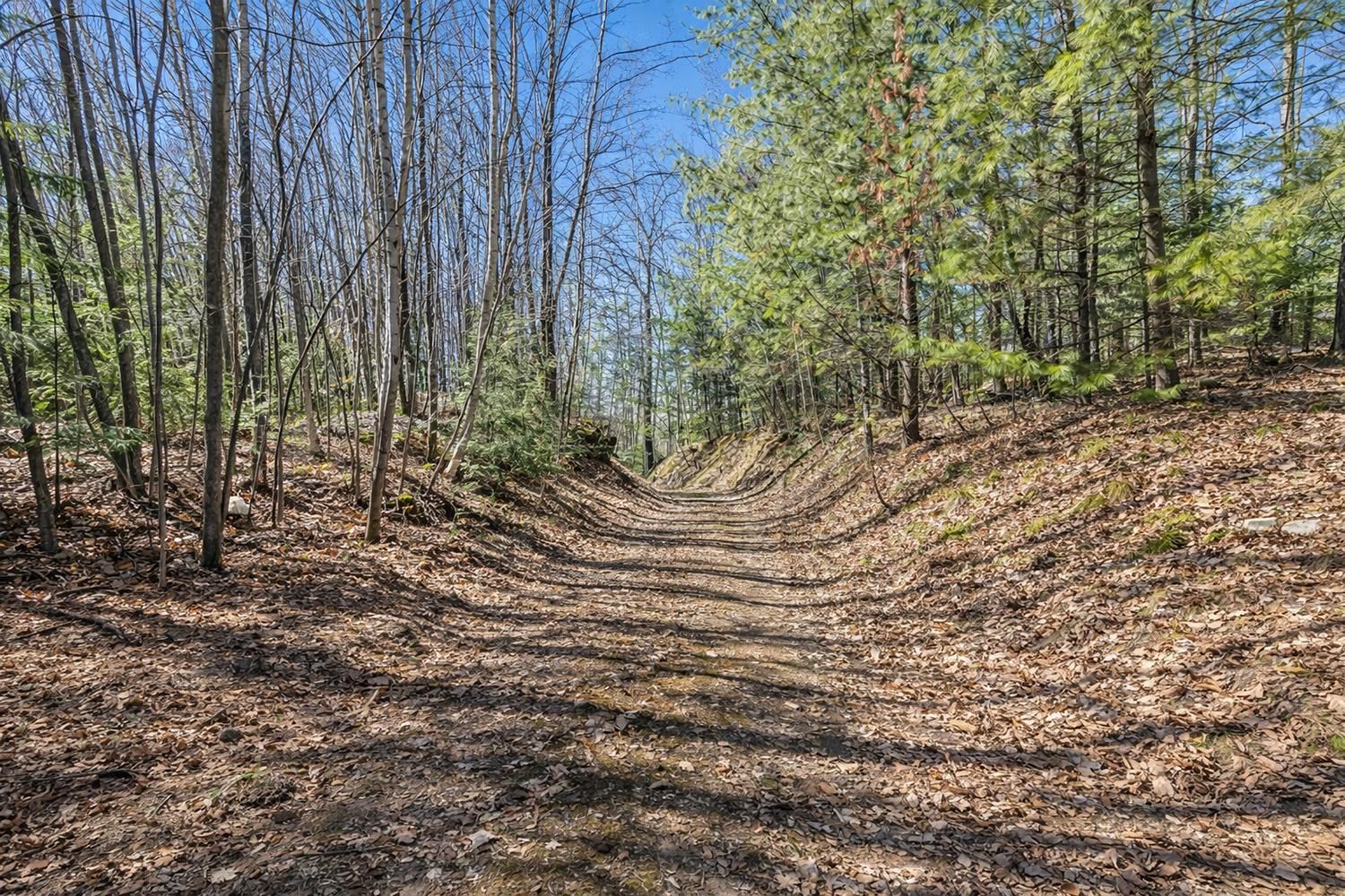17235 Lit Archibald Road Townsend, WI 54175 - Photo 35 of 49