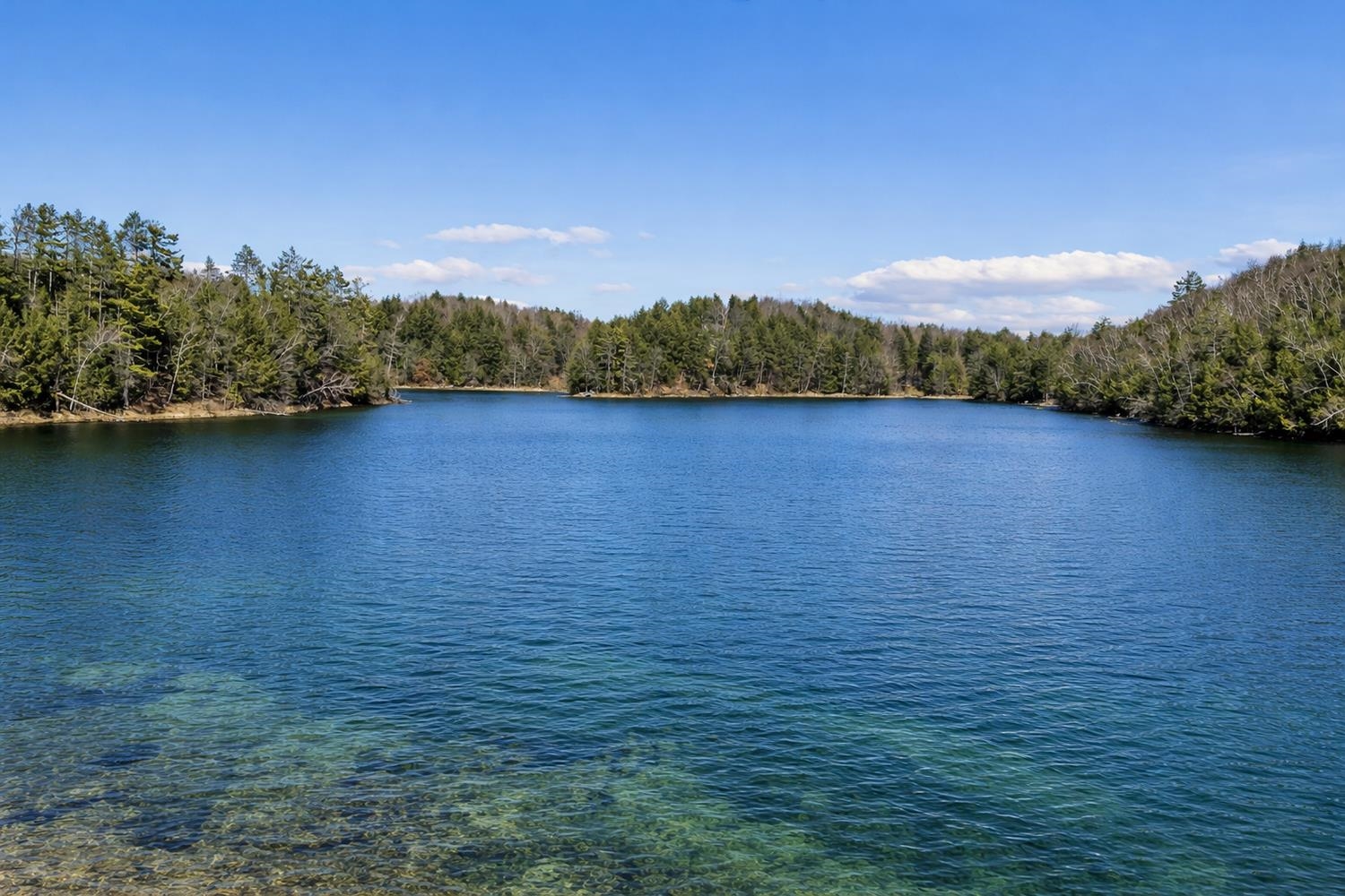 17235 Lit Archibald Road Townsend, WI 54175 - Photo 41 of 49