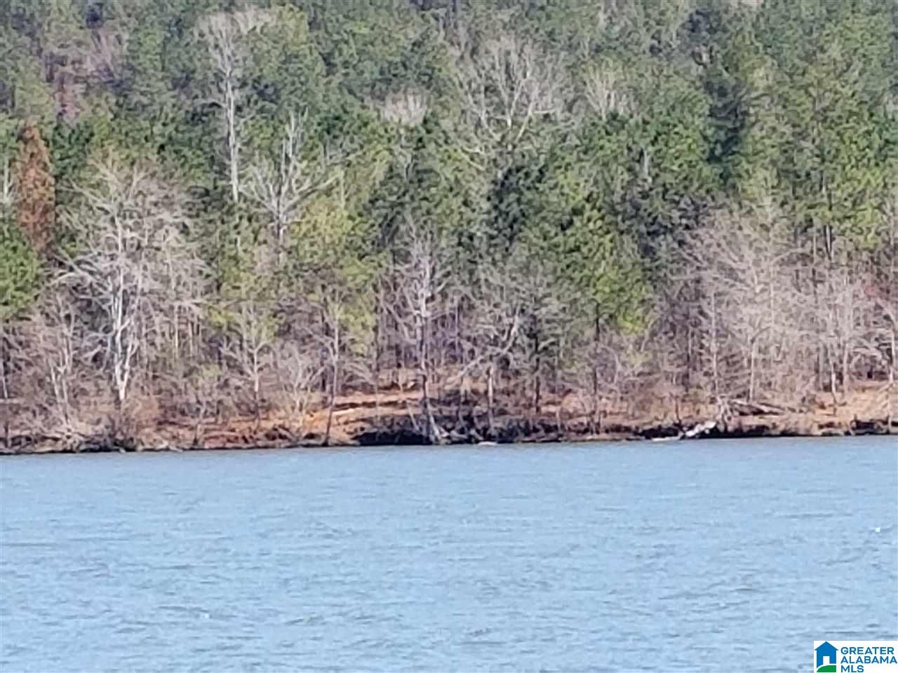 0 Daybreak Curve, Unit LOT 8 Rockford, AL 35136 - Photo 3 of 3