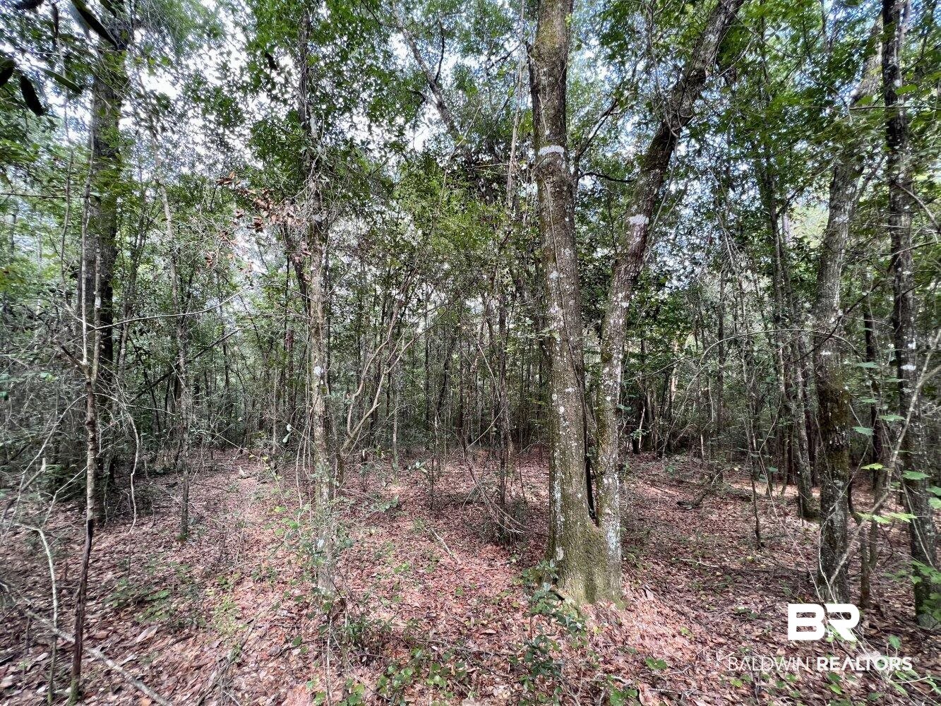 0 Bear Fork Road Mobile, AL 36618 - Photo 29 of 50