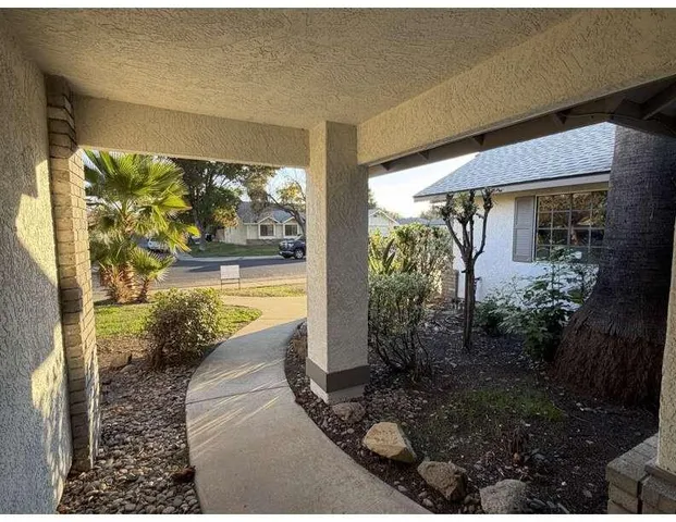 a view of a house with a yard plants and large tree