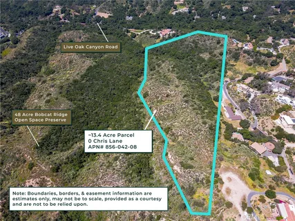 a view of a forest with a lush green hillside