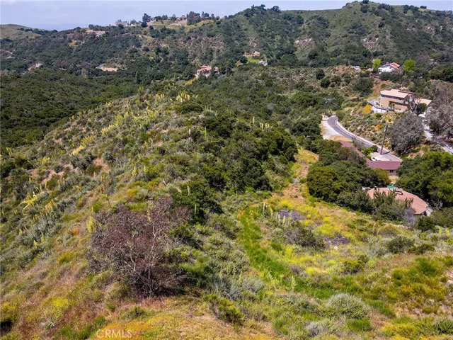 a view of a city with lush green forest