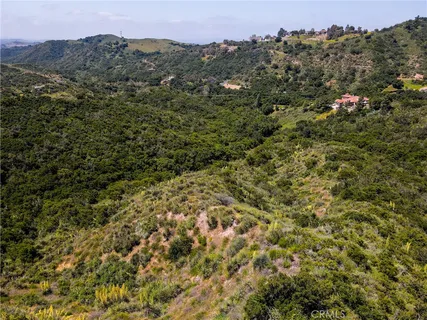 a view of a lush green forest with mountains in the background
