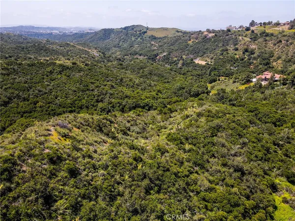 a view of a lush green forest with mountains in the background