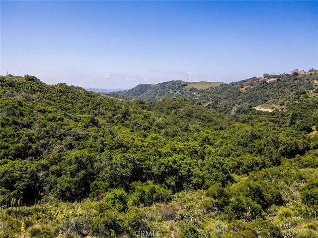 a view of a city with lush green forest
