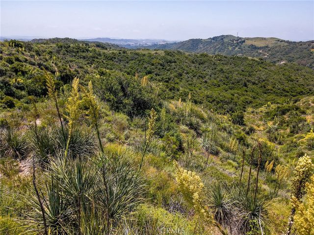 a view of a city with lush green forest