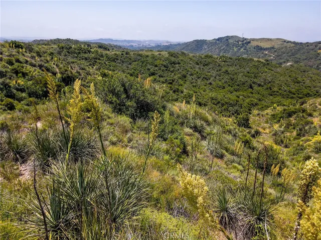 a view of a city with lush green forest