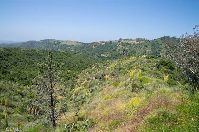 a view of a lush green space with sea