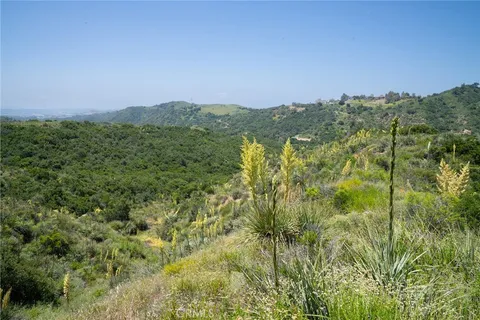 a view of a dry yard with lots of bushes