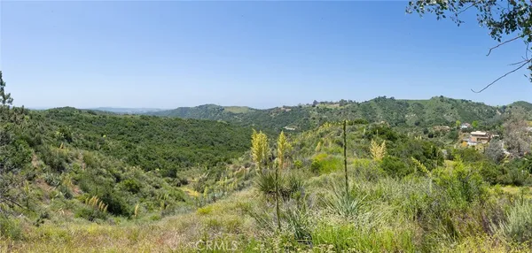 a view of a green field with lots of bushes