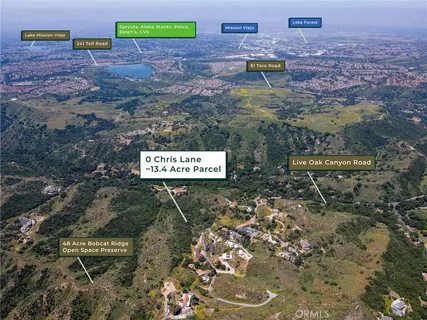 a view of a forest with a mountain