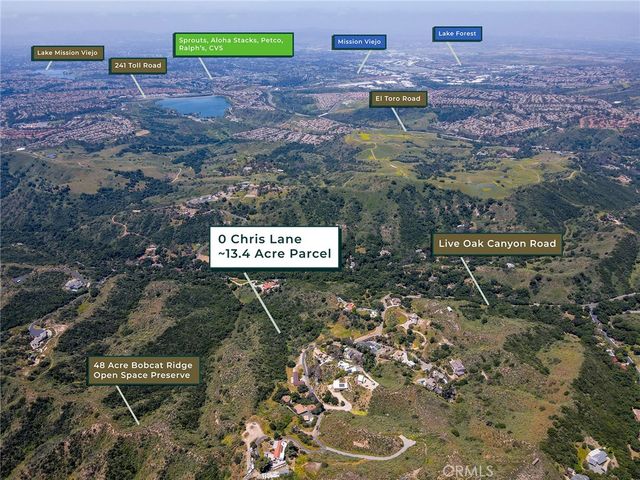 a view of a forest with a mountain