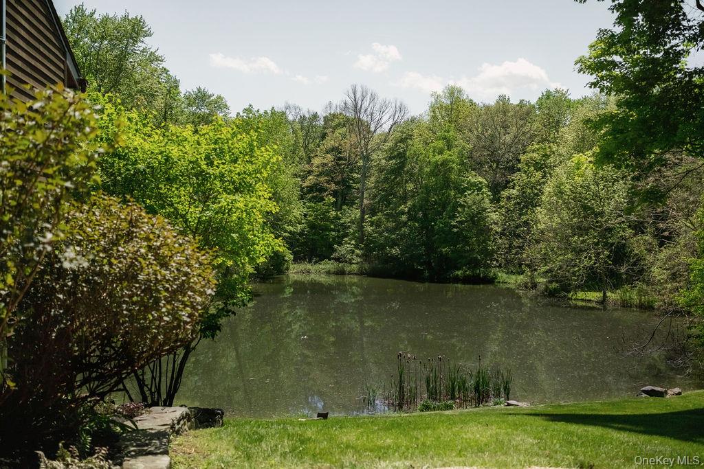 78 Rymph Road Staatsburg, NY 12580 - Photo 27 of 35