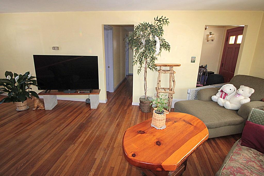 450 Island Pond Road Springfield, MA 01118 - Photo 16 of 41