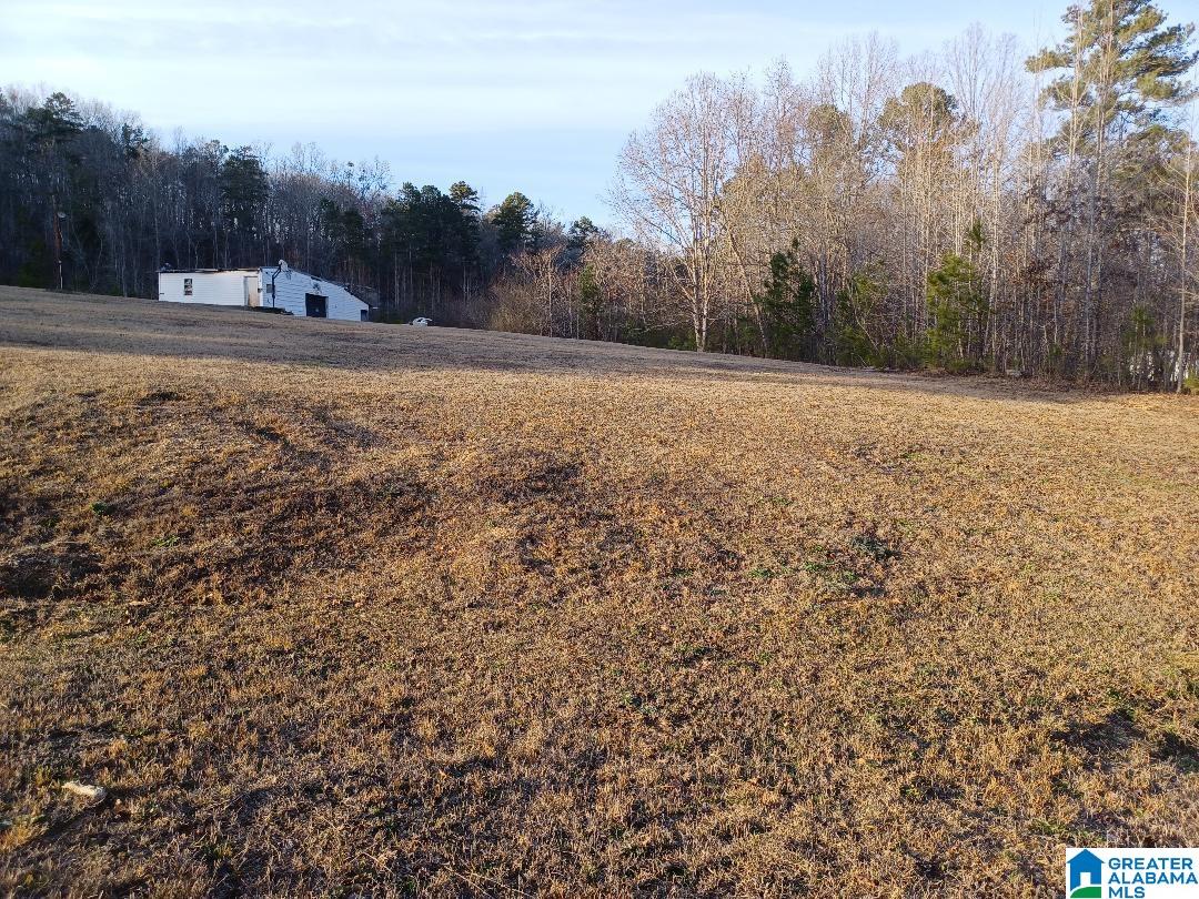 1885 Pleasant Valley Road Odenville, AL 35120 - Photo 2 of 16