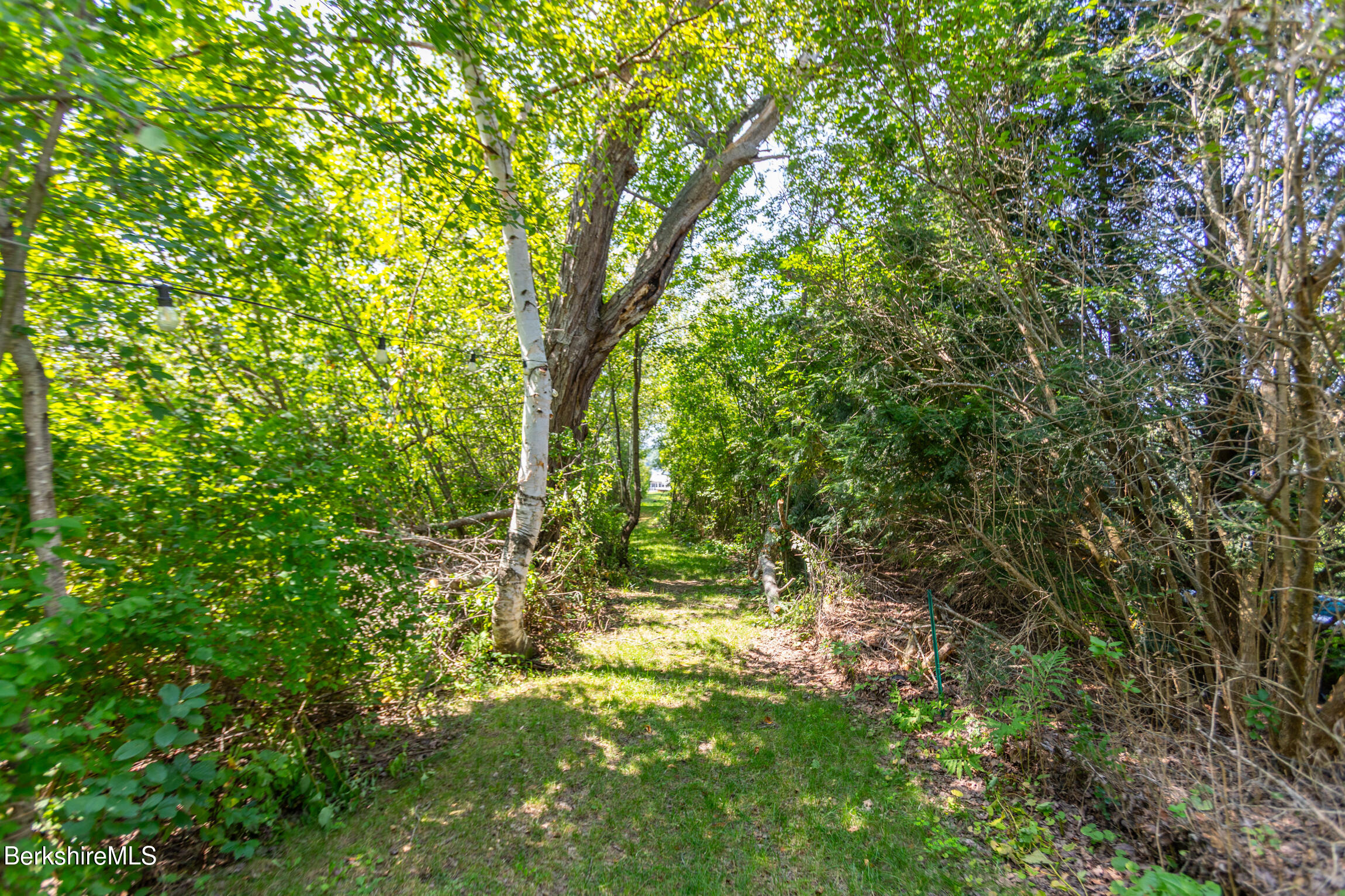 561 Pecks Road Pittsfield, MA 01201 - Photo 7 of 32 Path to Dock