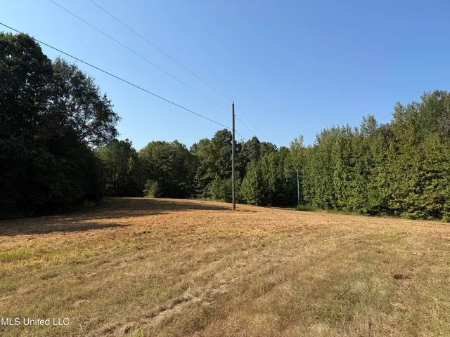 $875,000 | Race Track Road, West, MS 39192