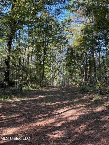 $875,000 | Race Track Road, West, MS 39192