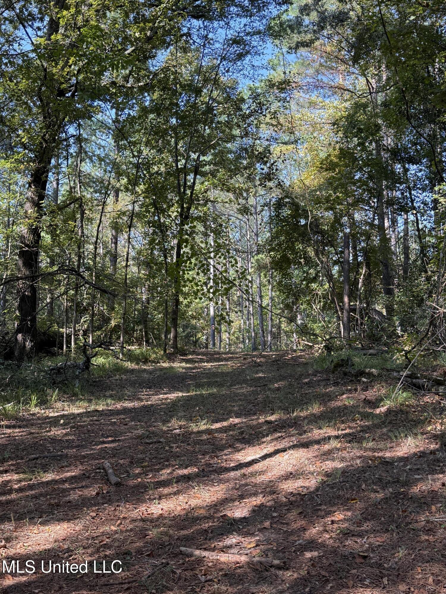 Race Track Road West, MS 39192 - Photo 12 of 47 Photo Sep 18 2025, 10 11 38 AM