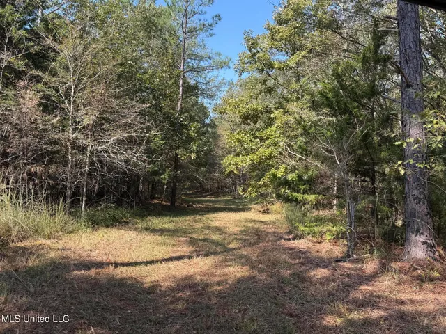 $875,000 | Race Track Road, West, MS 39192
