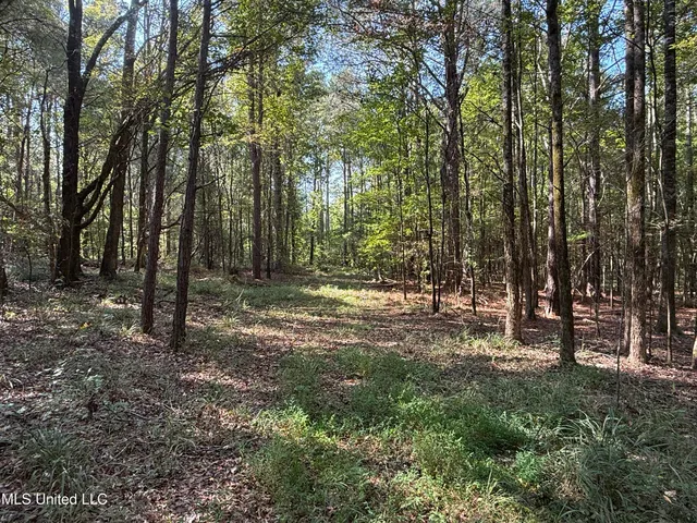 $875,000 | Race Track Road, West, MS 39192