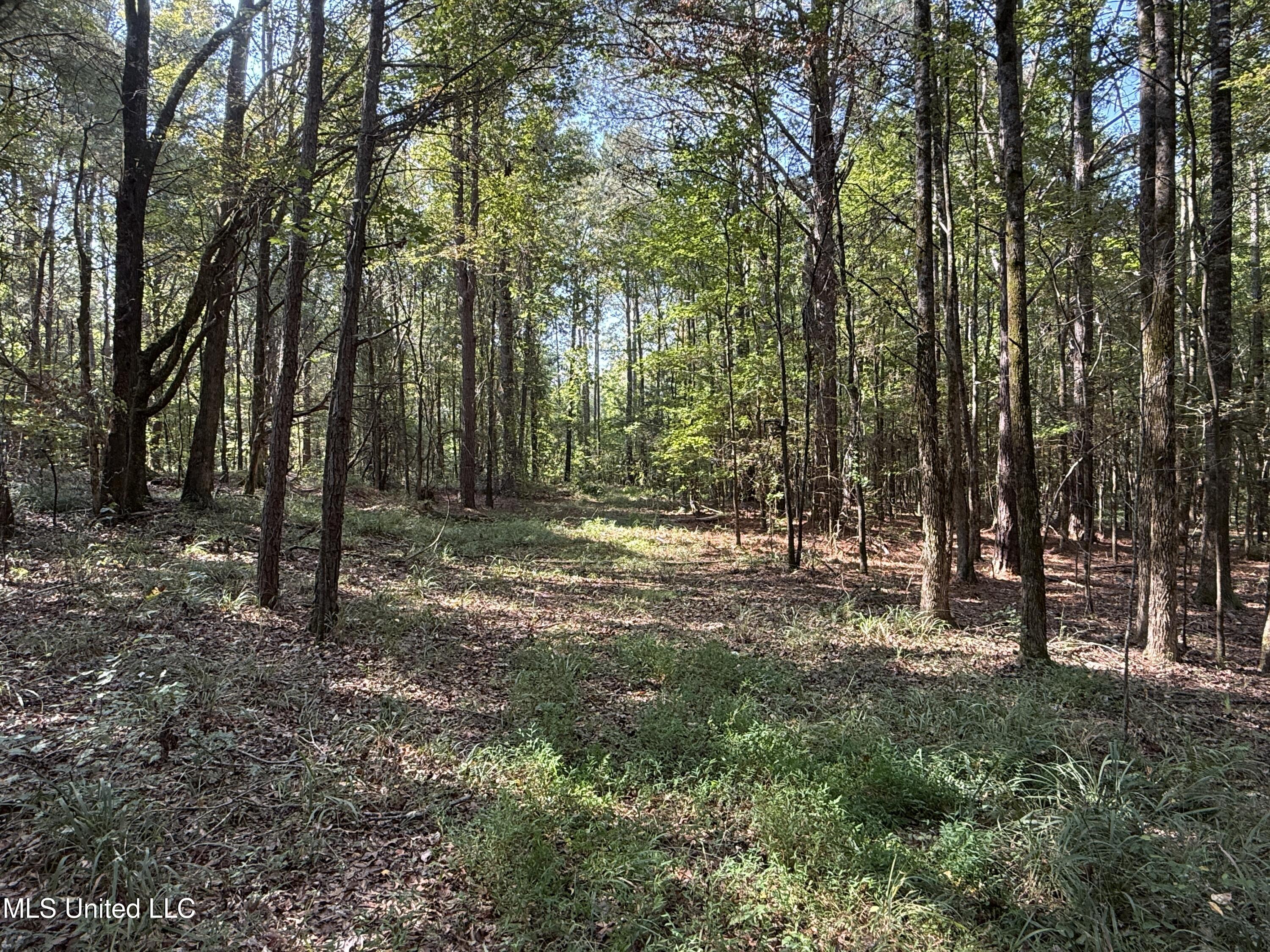 Race Track Road West, MS 39192 - Photo 14 of 47 Photo Sep 18 2025, 10 27 41 AM