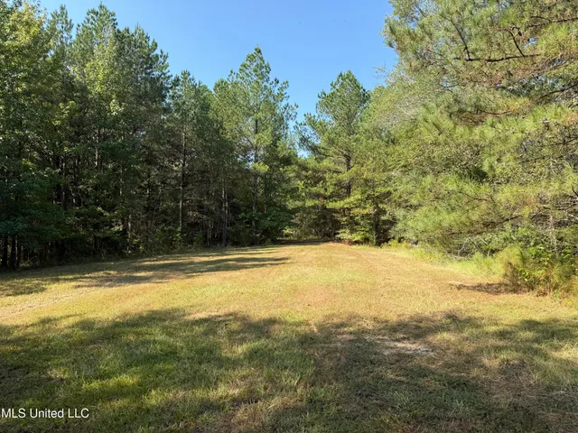 $875,000 | Race Track Road, West, MS 39192