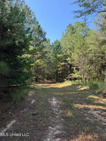 $875,000 | Race Track Road, West, MS 39192