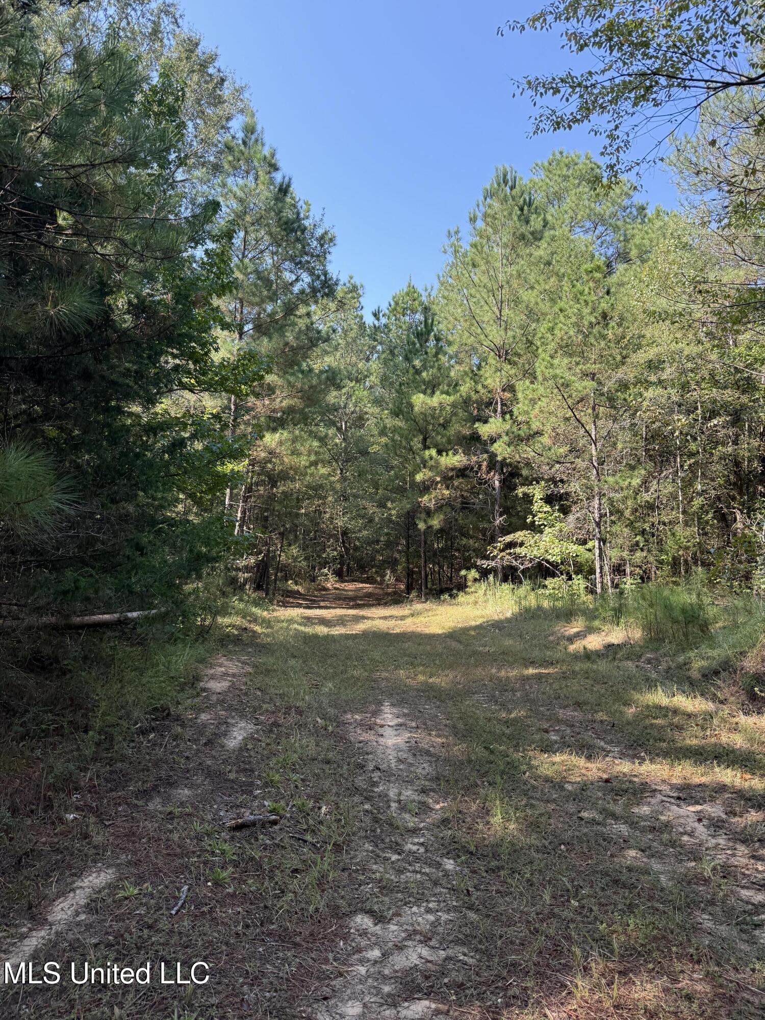 Race Track Road West, MS 39192 - Photo 16 of 47 Photo Sep 18 2025, 10 30 21 AM