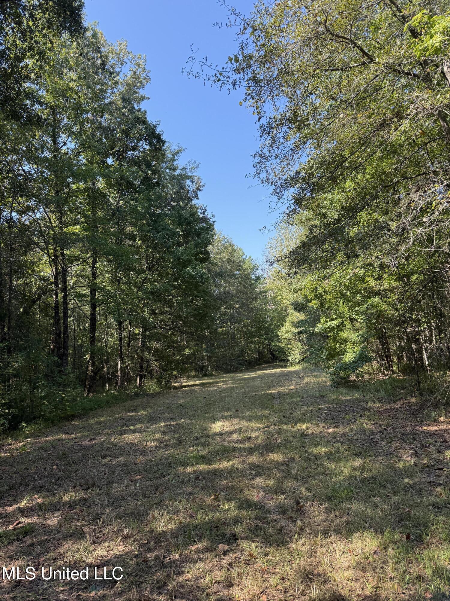 Race Track Road West, MS 39192 - Photo 20 of 47 Photo Sep 18 2025, 10 44 59 AM