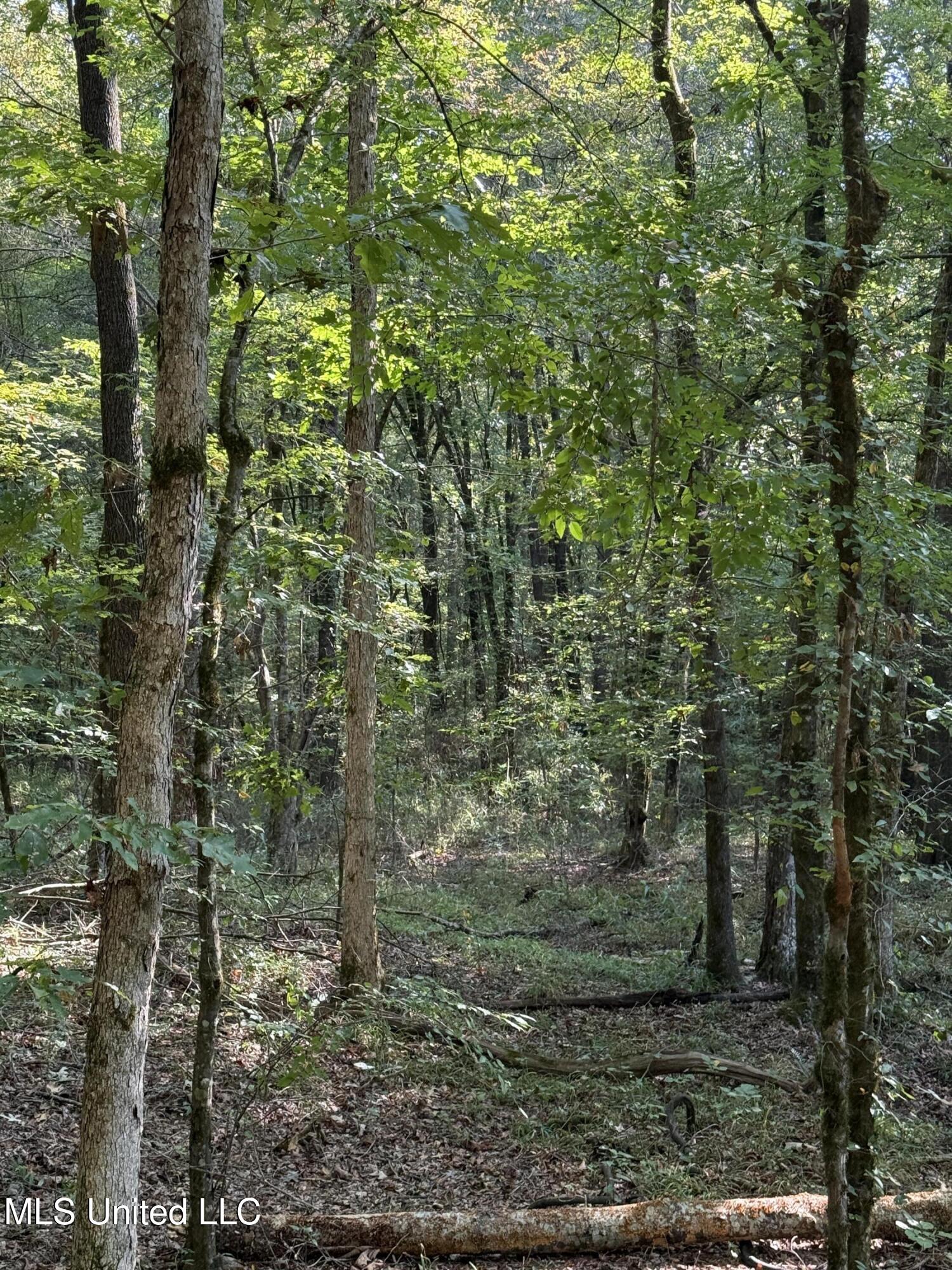 Race Track Road West, MS 39192 - Photo 2 of 47 2