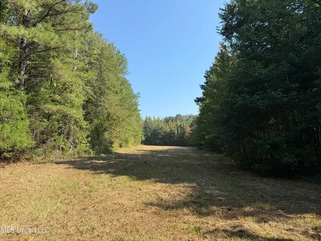 $875,000 | Race Track Road, West, MS 39192