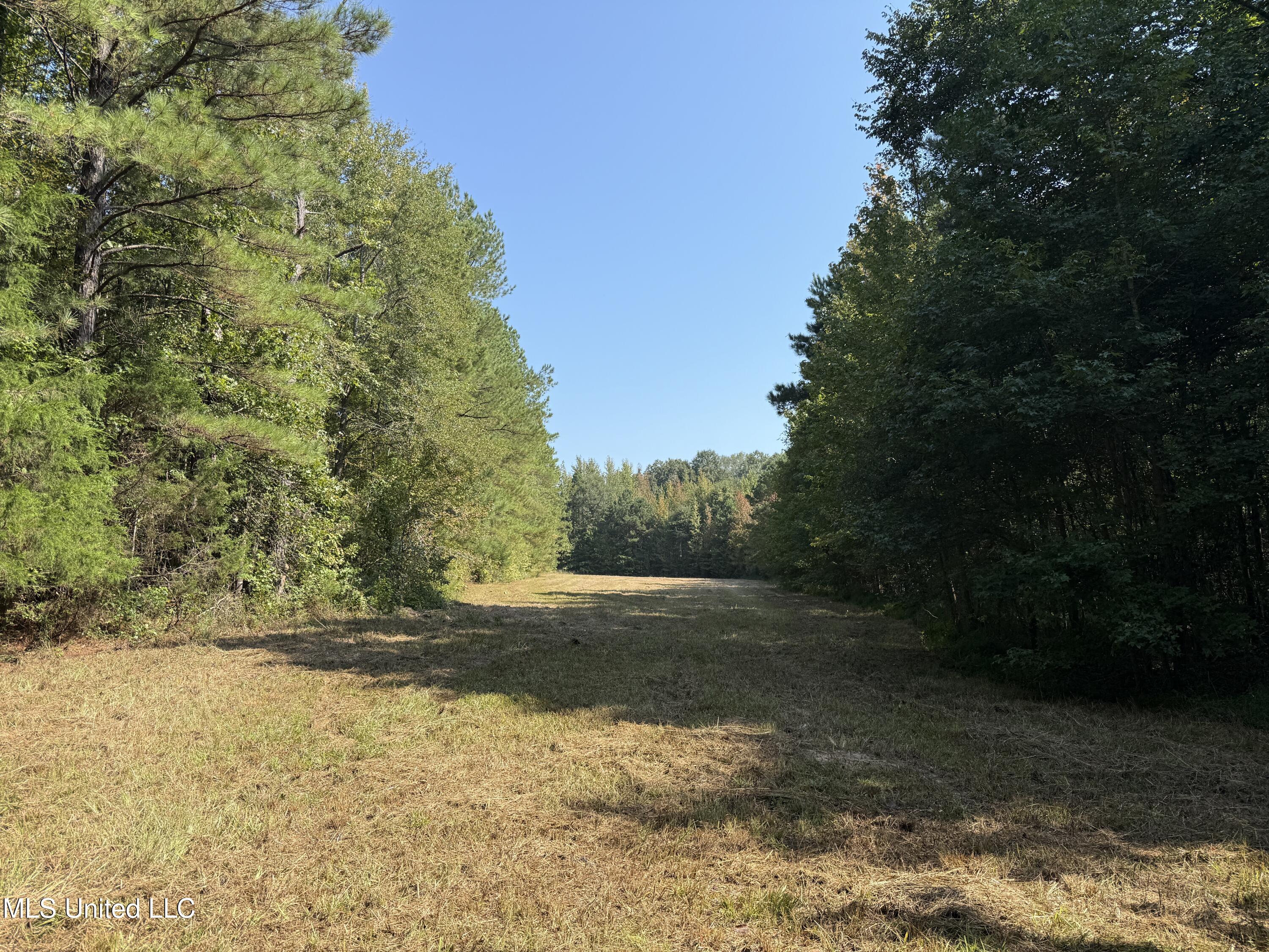 Race Track Road West, MS 39192 - Photo 21 of 47 Photo Sep 18 2025, 10 48 21 AM