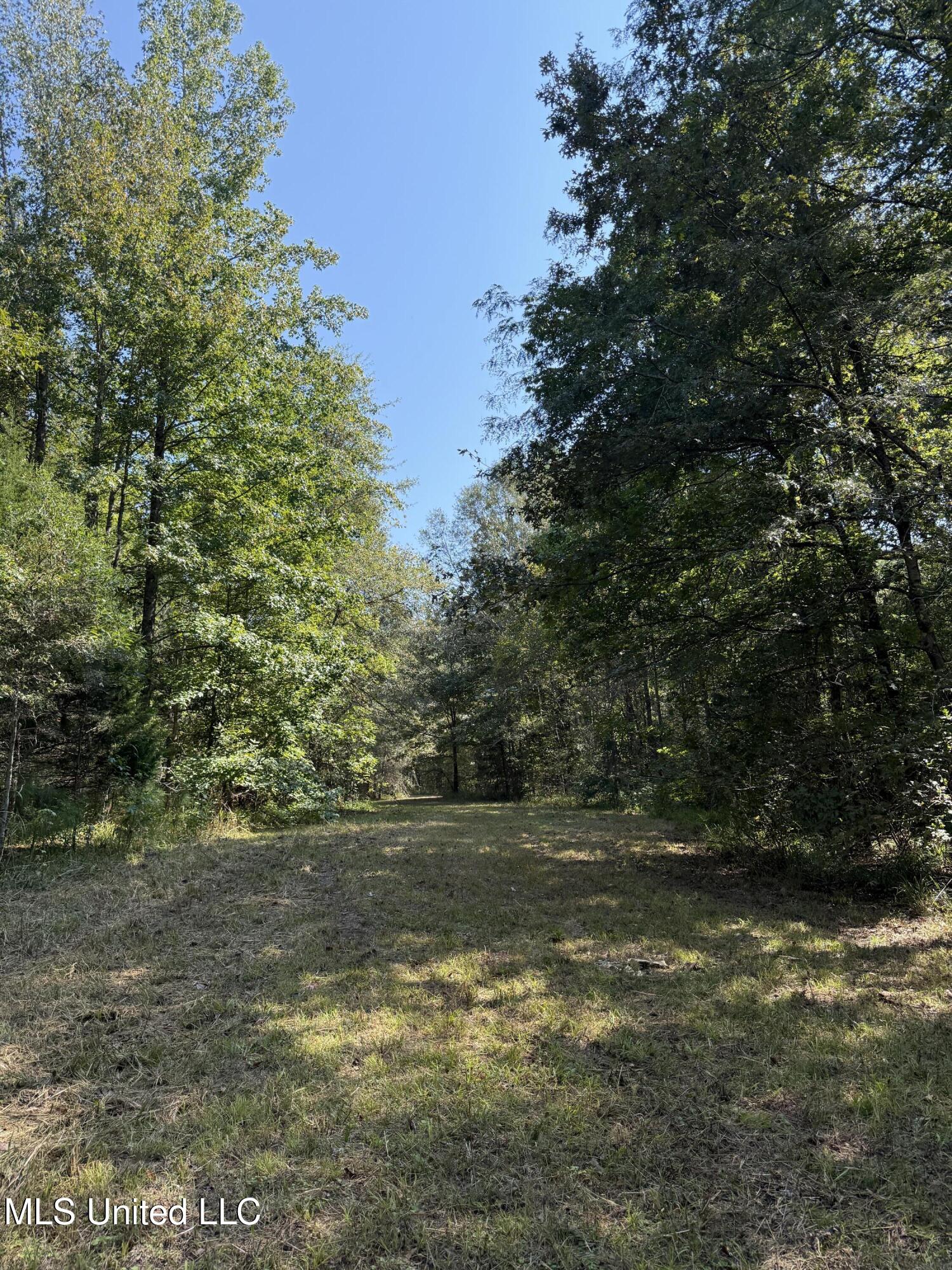 Race Track Road West, MS 39192 - Photo 24 of 47 Photo Sep 18 2025, 10 55 27 AM