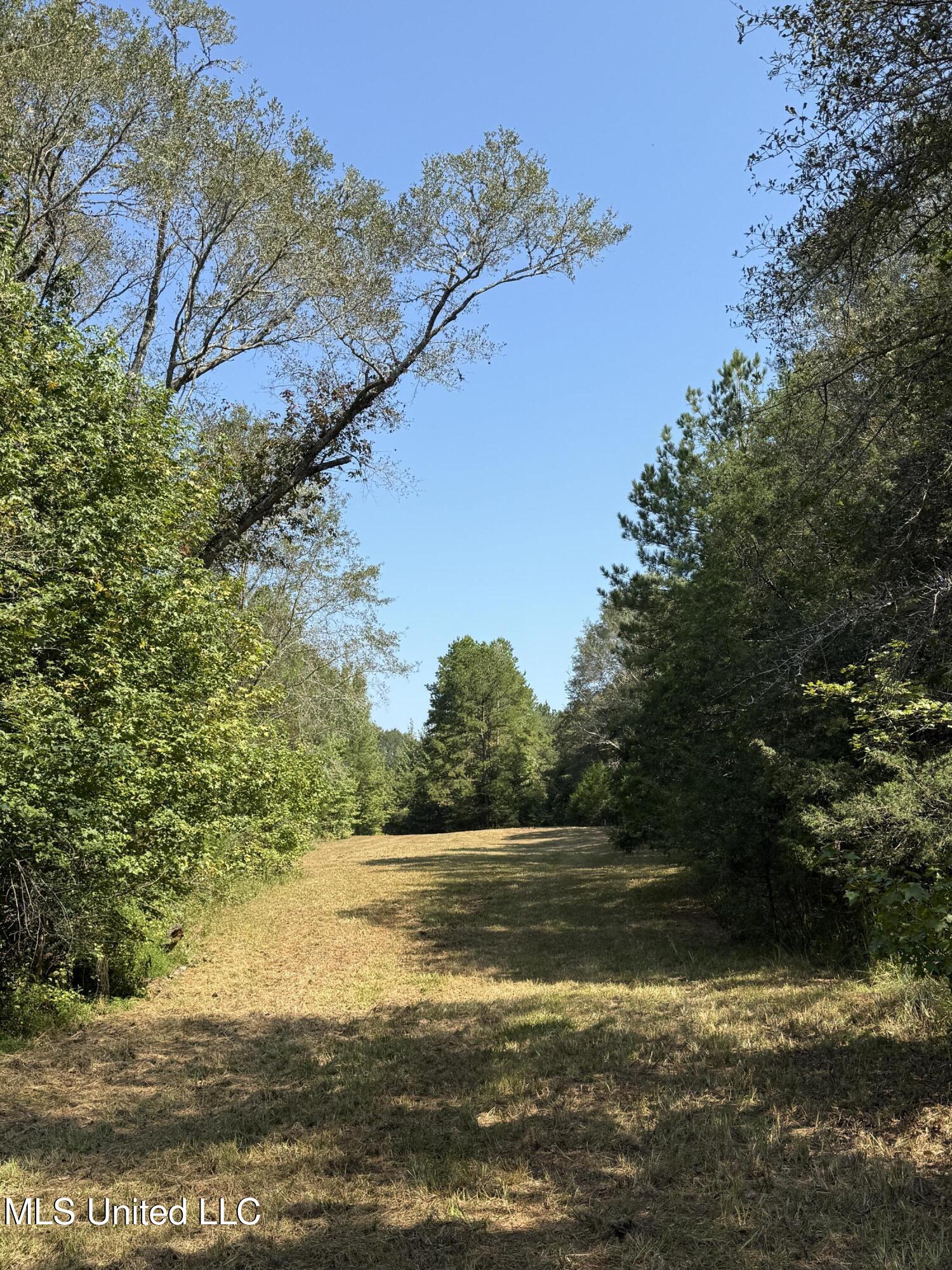 Race Track Road West, MS 39192 - Photo 25 of 47 Photo Sep 18 2025, 10 56 21 AM