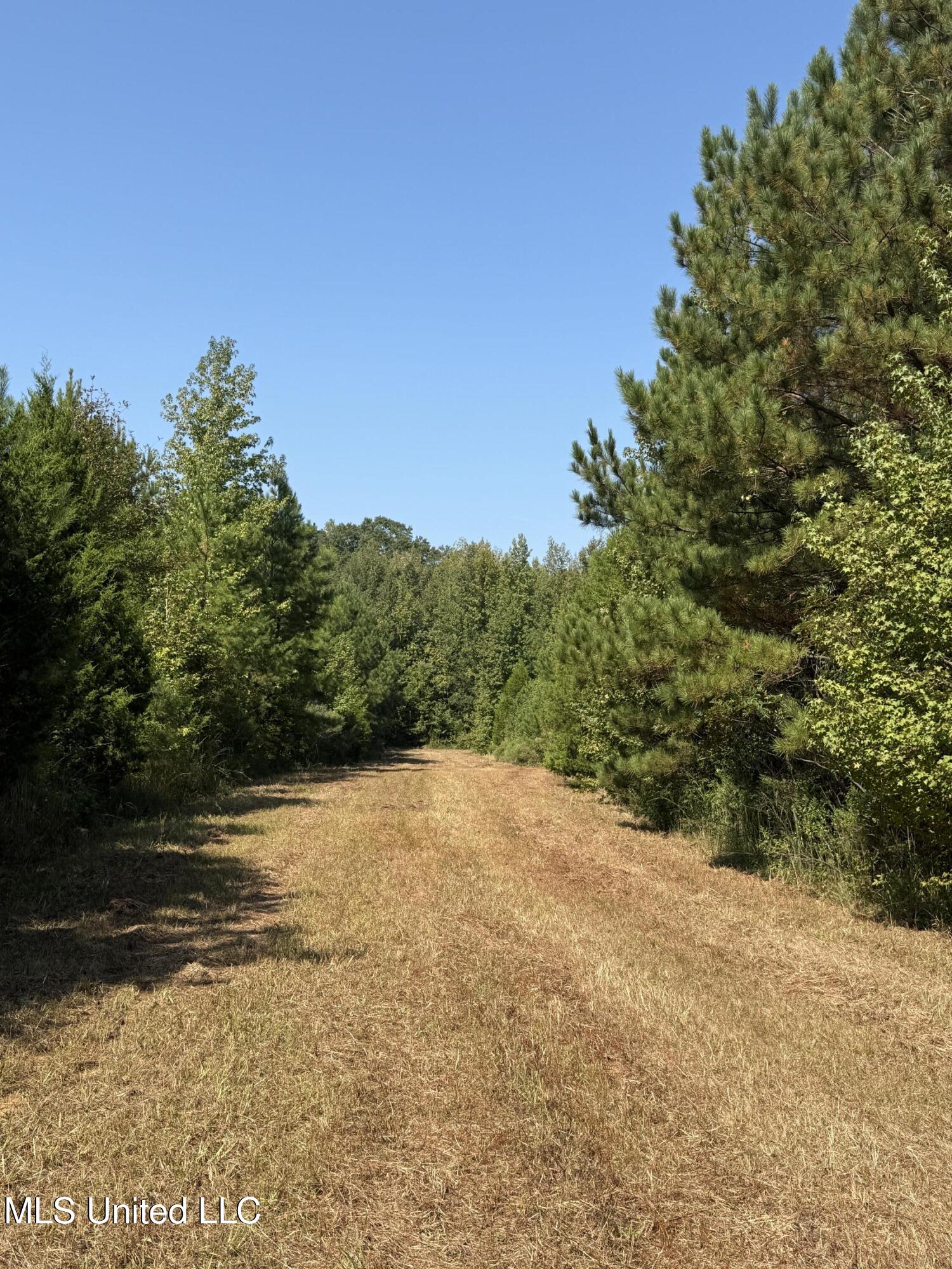 Race Track Road West, MS 39192 - Photo 29 of 47 Photo Sep 18 2025, 11 02 12 AM
