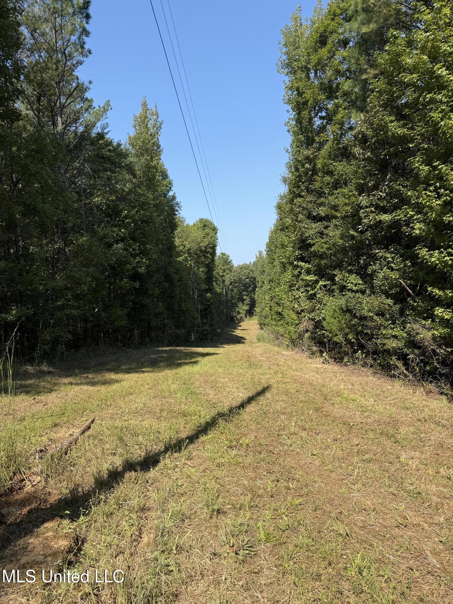 Race Track Road West, MS 39192 - Photo 30 of 47 Photo Sep 18 2025, 11 15 06 AM