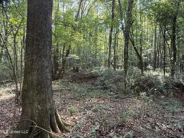 $875,000 | Race Track Road, West, MS 39192