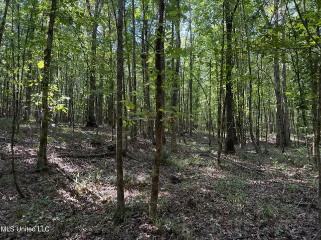 $875,000 | Race Track Road, West, MS 39192