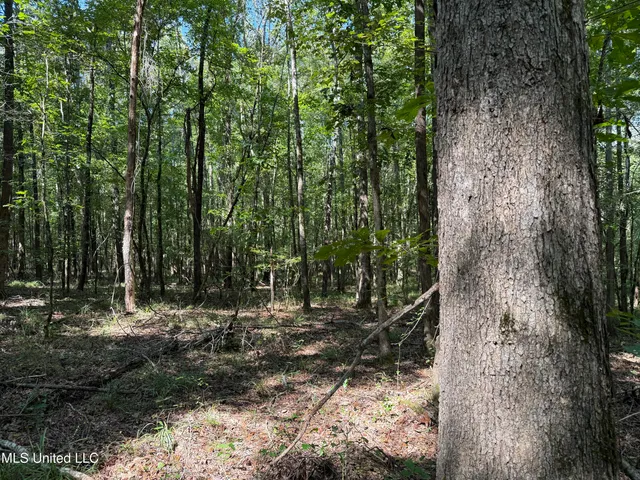 $875,000 | Race Track Road, West, MS 39192